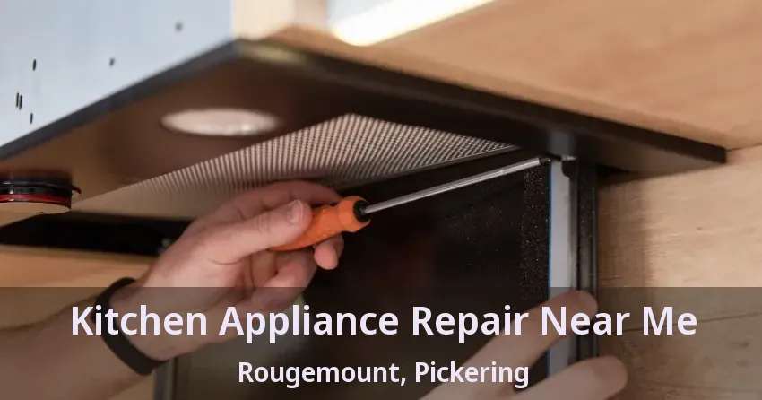 Kitchen Appliance Repair Near Me Rougemount, Pickering - ON