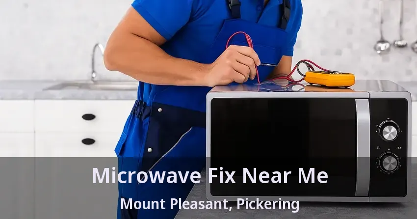 Microwave Fix Near Me Mount Pleasant, Pickering - ON