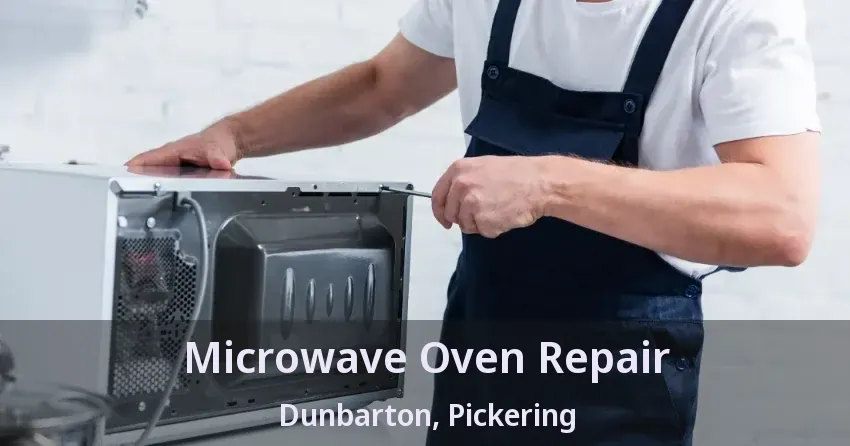 Microwave Oven Repair Dunbarton, Pickering - ON