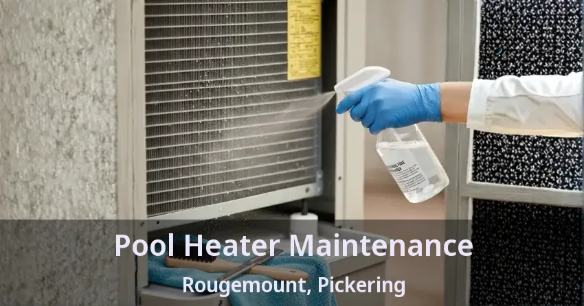 Pool Heater Maintenance Rougemount, Pickering - ON