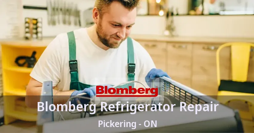 Blomberg Refrigerator Repair Pickering - ON