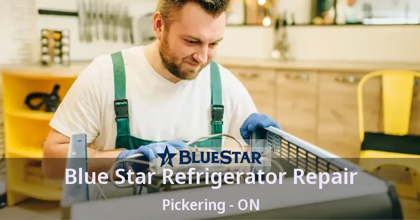 Blue Star Refrigerator Repair Pickering - ON