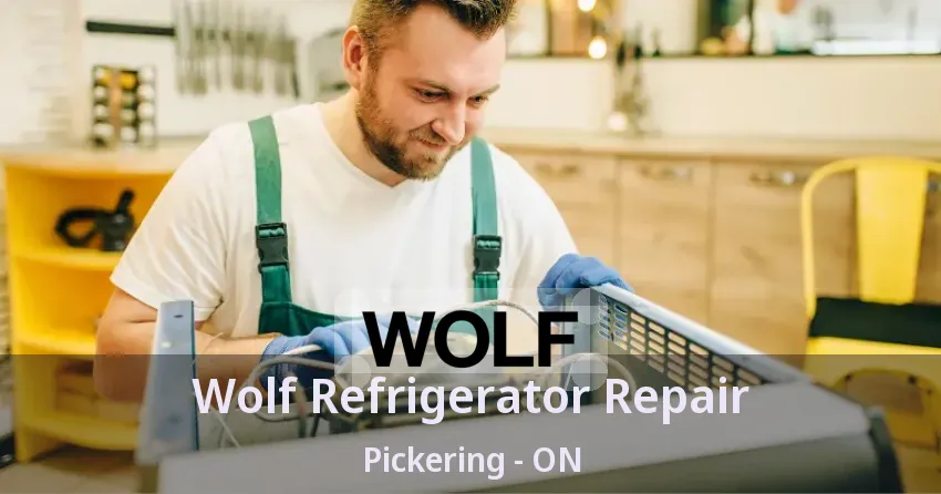Wolf Refrigerator Repair Pickering - ON