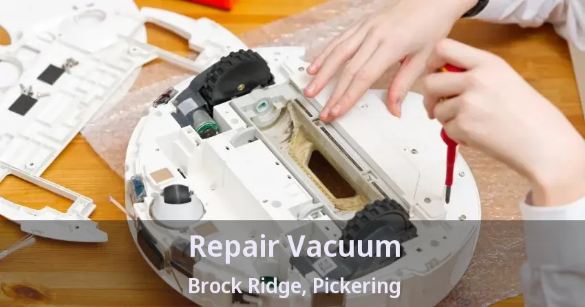 Repair Vacuum Brock Ridge, Pickering - ON
