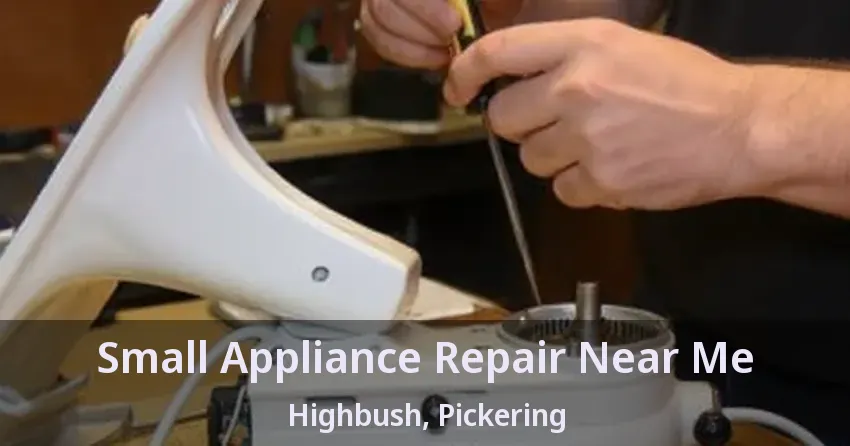 Small Appliance Repair Near Me Highbush, Pickering - ON