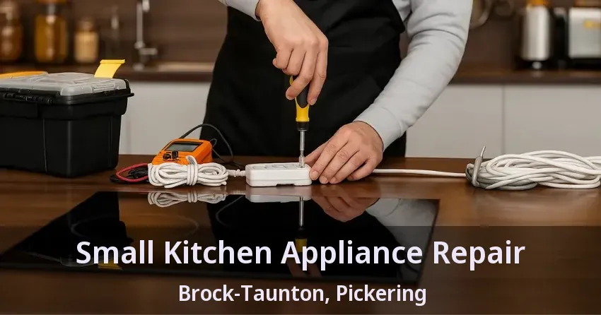 Small Kitchen Appliance Repair Brock-Taunton, Pickering - ON