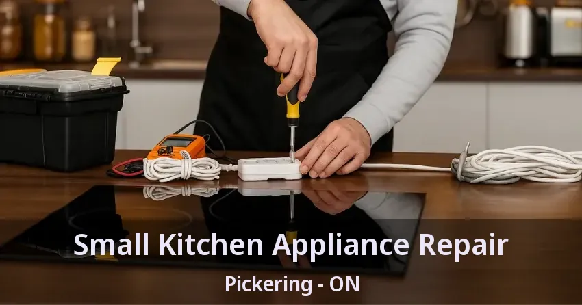 Small Kitchen Appliance Repair Pickering - ON