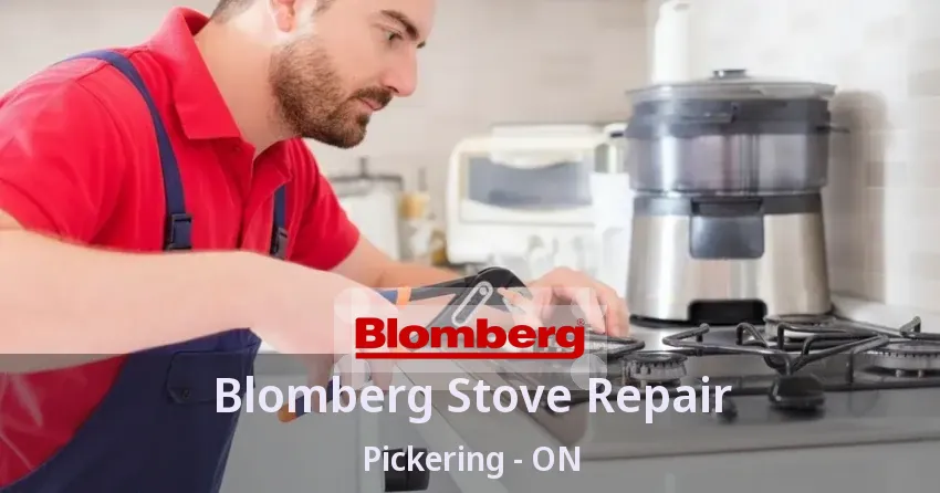 Blomberg Stove Repair Pickering - ON