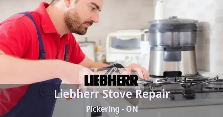 Liebherr Stove Repair Pickering - ON