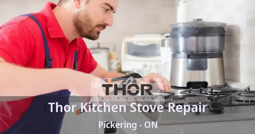 Thor Kitchen Stove Repair Pickering - ON