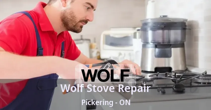 Wolf Stove Repair Pickering - ON