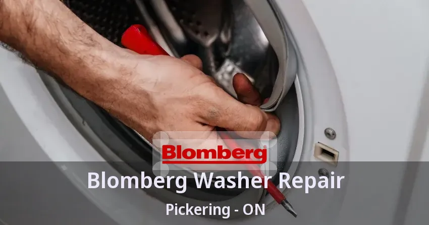 Blomberg Washer Repair Pickering - ON