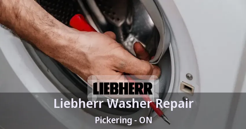 Liebherr Washer Repair Pickering - ON