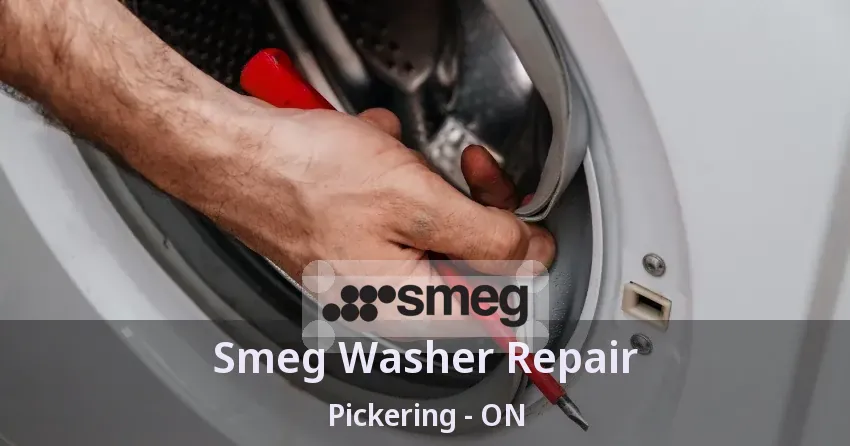 Smeg Washer Repair Pickering - ON